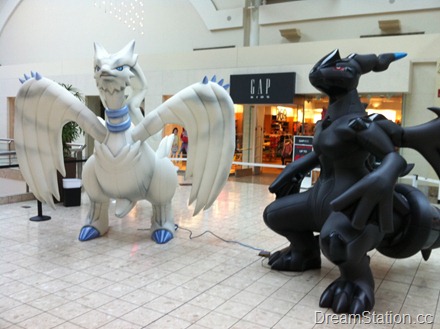 Reshiram and Zekrom Blowups