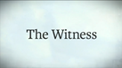 The Witness for PlayStation 4